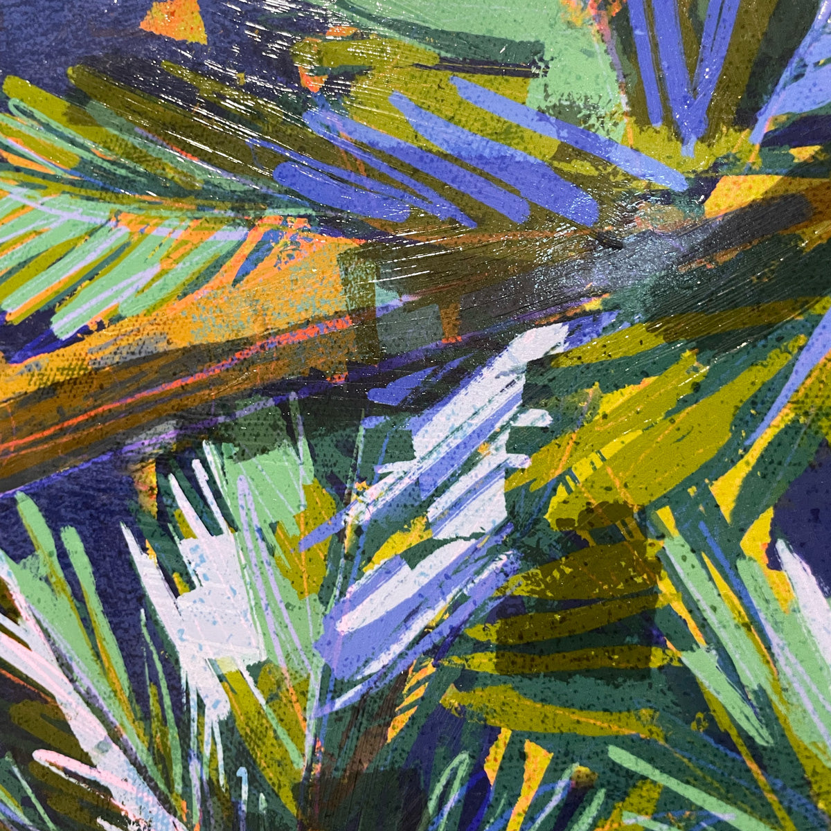 Detail of Coconut Canopy ©Dora Knuteson