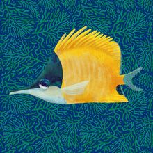 Load image into Gallery viewer, Longnose Butterfly © Dora Knuteson