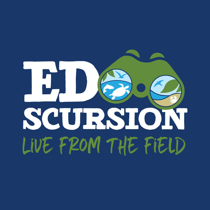 EdScursion: Live from the Field