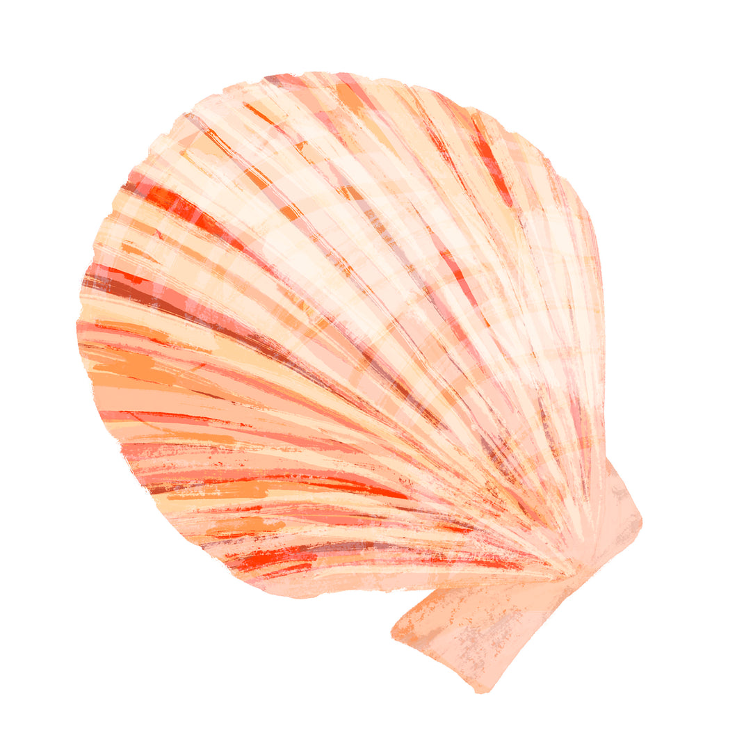 Pink Shell