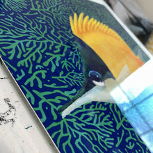 Load image into Gallery viewer, Longnose Butterfly detail of metal edge
