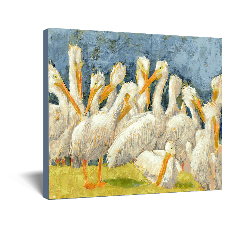 Primping and Preening