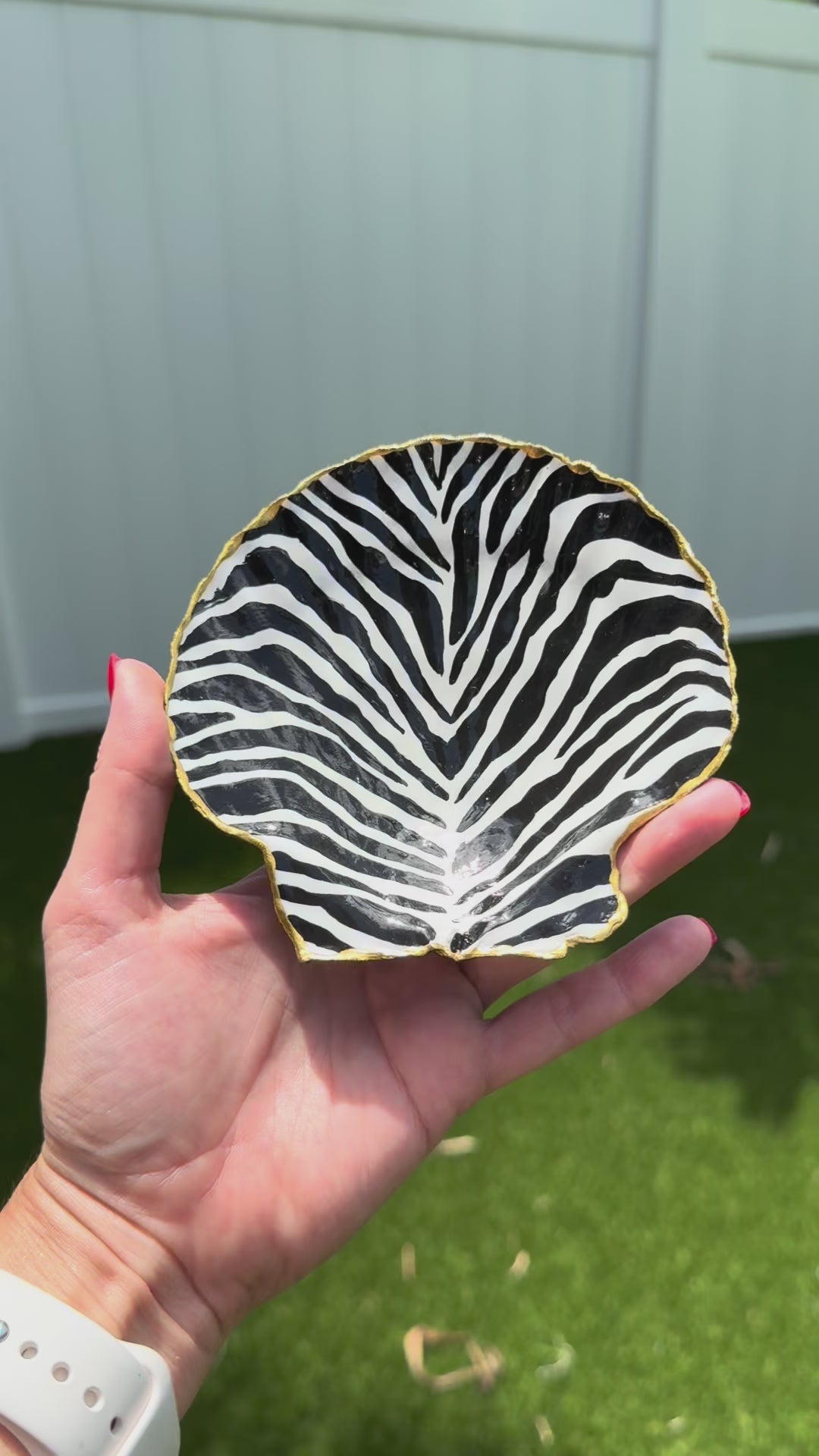 Zebra Tide