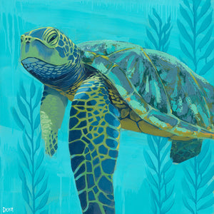 "Seaweed Soak" Sea Turtle Art by Dora Knuteson