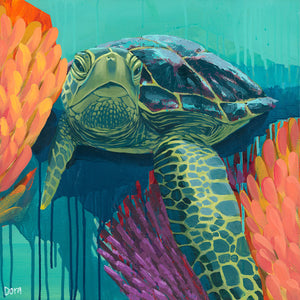 "Shell Shock" Sea Turtle Art by Dora Knuteson