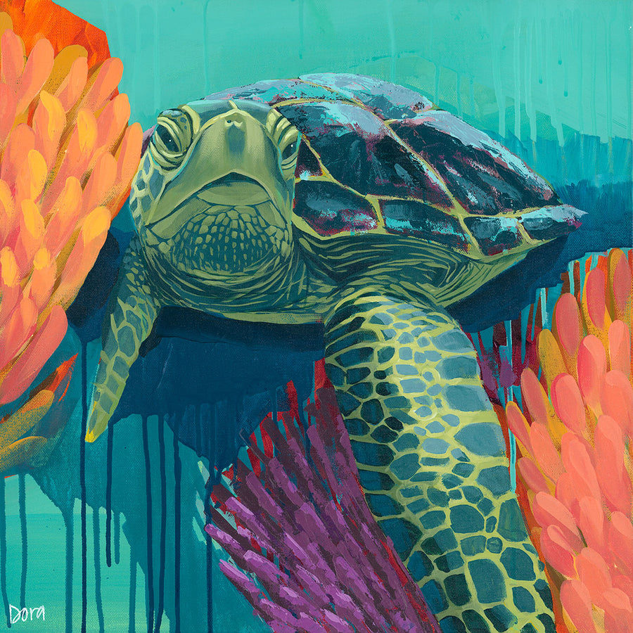 Shell Shock - Sea Turtle Art by Dora Knuteson – Dora Knuteson Art