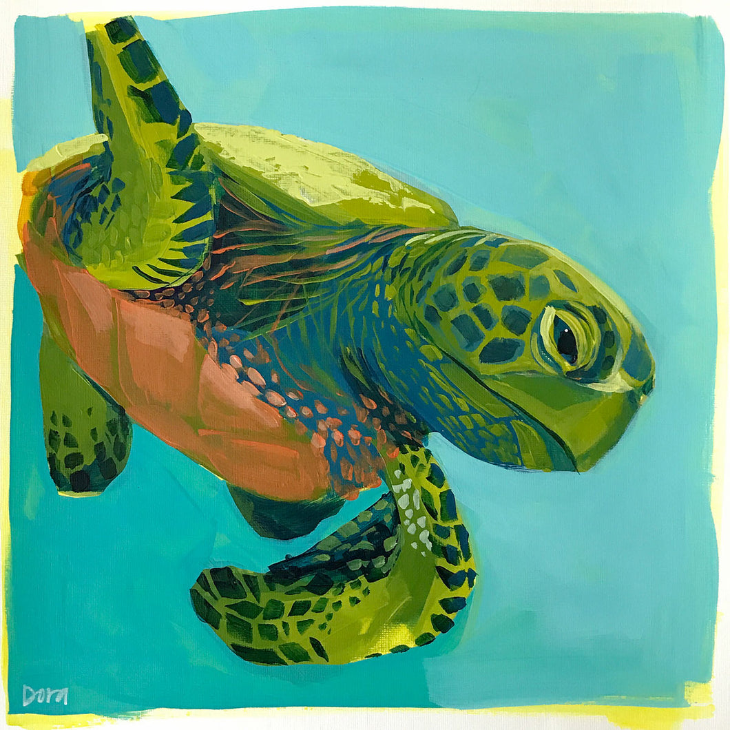 Dora Knuteson Sea Turtle Study #12