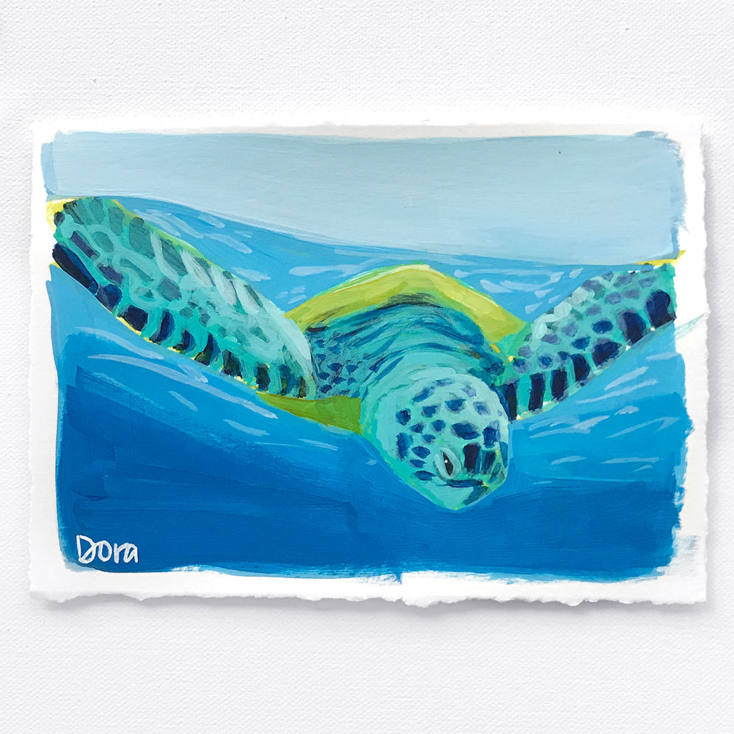 Dora Knuteson Sea Turtle Study #4